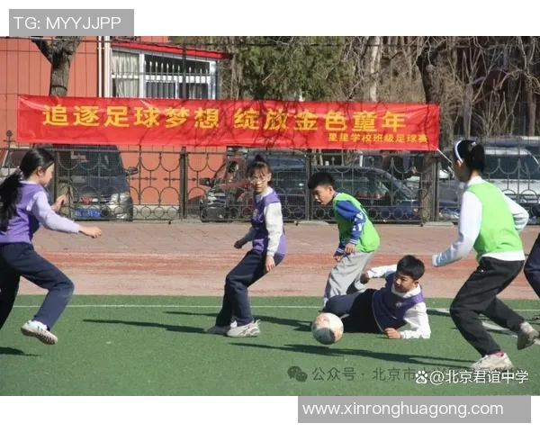 足球小牛黑的成长之路与梦想追逐的精彩瞬间