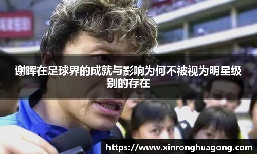 谢晖在足球界的成就与影响为何不被视为明星级别的存在